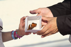 Mariposas en boda simbolica